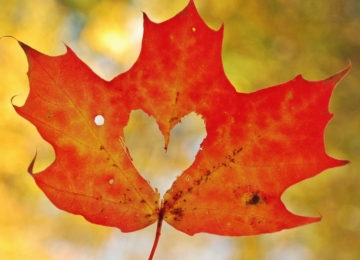 fall